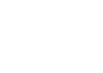 ao-client-logo-viking-horses.png